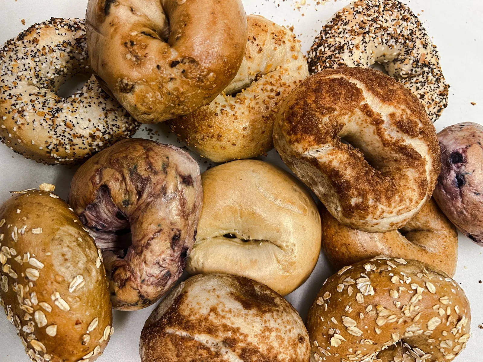Fresh assorted bagels from Bagel Boy: everything, blueberry, honey oat, asiago, cinnamon crunch and more
